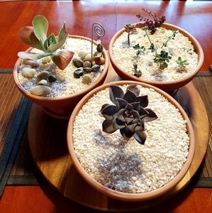 Meet your Posher, Bernadette